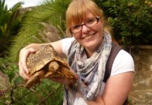 Nairobi Mamba Village: A Must-Visit Destination Nairobi Mamba Village