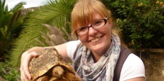 Nairobi Mamba Village: A Must-Visit Destination Nairobi Mamba Village