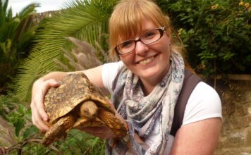 Nairobi Mamba Village: A Must-Visit Destination Nairobi Mamba Village