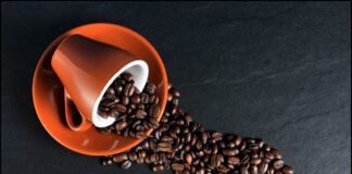 Exploring the Timeless Beauty of Karunguru Coffee Estate Karunguru Coffee Estate