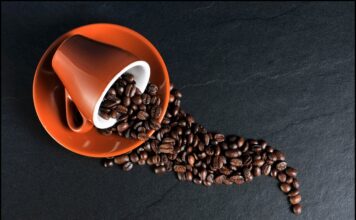 Exploring the Timeless Beauty of Karunguru Coffee Estate Karunguru Coffee Estate