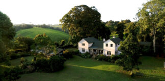 Kiabethu Tea Farm in Nairobi Kiambethu Tea Farm