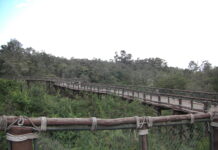 Nairobi Safari Walk, Nairobi Nairobi Safari Walk