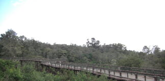 Nairobi Safari Walk, Nairobi Nairobi Safari Walk