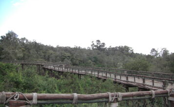 Nairobi Safari Walk, Nairobi Nairobi Safari Walk