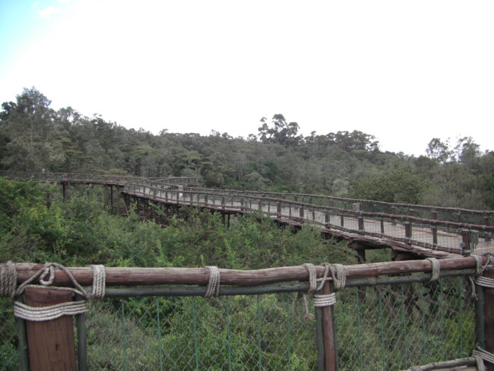 Nairobi Safari Walk