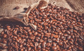 Fairview Coffee Estate: Enchanting Coffee Tour in Nairobi Fairview Coffee Farm in Nairobi