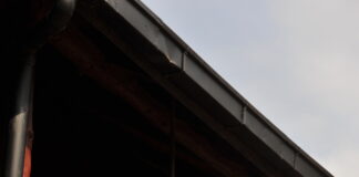 Giraffe Centre, Nairobi – Kenya