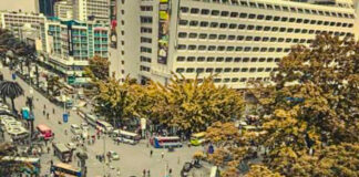 Nairobi City Population Growth and Diversity Nairobi Population