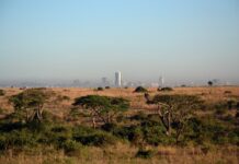 Discover Nairobi: Why It’s the Top City to Visit in 2024 Nairobi - City to Visit 2024