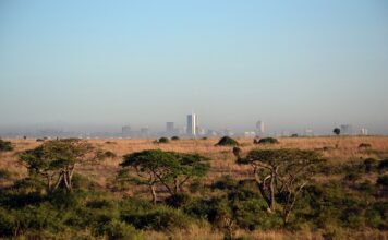 Discover Nairobi: Why It’s the Top City to Visit in 2024 Nairobi - City to Visit 2024